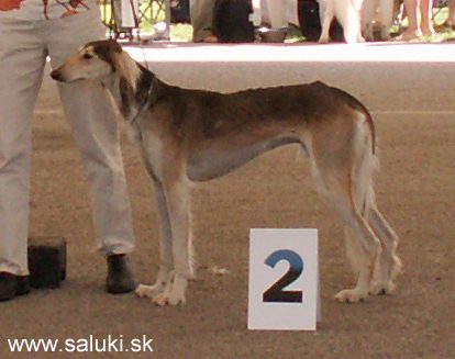 Euro Dog Show Tulln, A - 3.6.2005