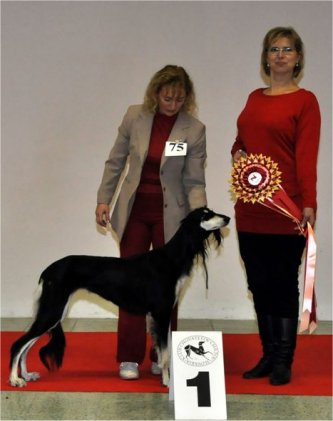 FIRIEL - V1, CAC, Sighthound specialty winner 2010